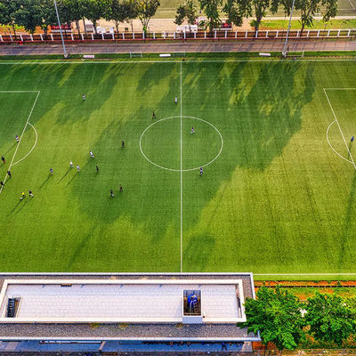 50mm PE Sekolah Sepak Bola Luar Ruangan Buatan Rumput Sintetis
