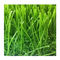 Landscaping Garden Pet Rumput Buatan Tahan UV 20mm