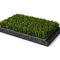 Rumput Buatan Khusus Non Infill Turf Untuk Lapangan Sepak Bola Dan Sepak Bola