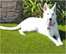 Rumput Buatan Permeabel Air Untuk Anjing Luar Pasir Sintetis Karet Infill Multicolor