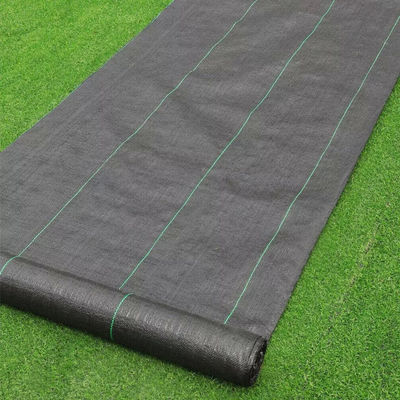 Aksesori Rumput Buatan Hitam